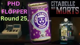 Citadelle des Morts How To Get PHD Flopper Tips & Tricks