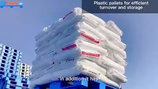 Introducing the Game-Changer: Type III Heavy Duty Plastic Pallet
