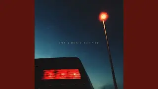 Don't Say You