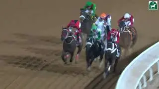 RIYADH RACING SEASON MEETING NO 67 RACE NO 10