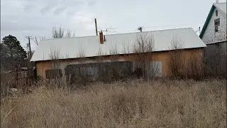 Я совершил безумный поступок…