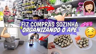 FUI AS COMPRAS SOZINHA, ORGANIZANDO O APÊ E FIZ HOT ROLL ♥ - Bruna Paula