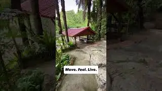 Colorful Garden Escape! Vibrant Ao Luek garden, lush nature & colors. Move. Feel. Live. #shorts