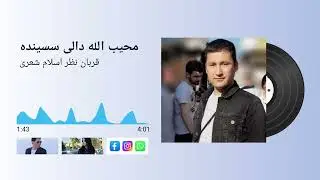 محیب الله دالی _ قربان نظر اسلام شعری🎧 mohibullah deli 🎶_kurban Nazar İslam