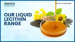 Amitex Liquid Lecithin | Non-GMO Functional Ingredient for Food, Pharma & Nutrition