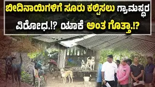 ಬೀದಿನಾಯಿಗಳಿಗೆ ಜಿಲ್ಲಾಡಳಿತದಿಂದ ಸೂರು..! ಬೇಡವೇ ಬೇಡ ಅನ್ನುತ್ತೆ ಈ ಊರು.!? ಕಾರಣವೇನು.!?