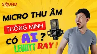 Microphone thu &acirc;m th&ocirc;ng minh LEWITT RAY