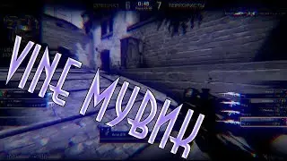 VAC момент l CS GO