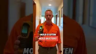 Warning Signs of Mold in Your Home
