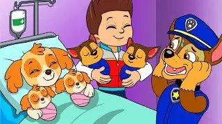 Paw Patrol Ultimate Rescue | OMG! Skye Is Giving Birth with Triplets | Rainbow 3