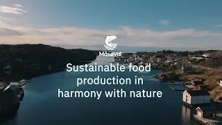 Made by nature, Pioneered by M&aring;s&oslash;val | Responsible Salmon Farming