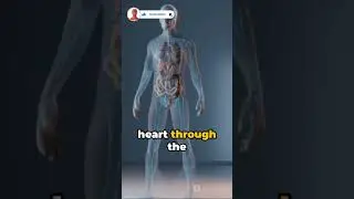 Human Circulatory System ,(मानव संचार प्रणालिका)#shorts #trending#biology#science