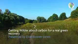 Getting Wilder about carbon for a real green recovery