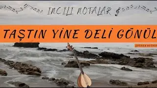 Taştın Yine Deli Gönül - İncili Notalar (Şiirden Notaya)