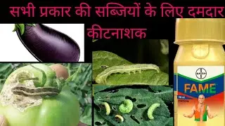 Bayer fame kitnasak//tamatar ke liye top kitnasak//Bayer Fame ki price
