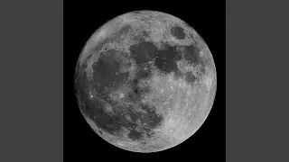 Whispers to the Moon