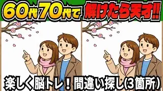 【脳トレ間違い探しクイズ】短時間で老化予防に！記憶力・集中力を鍛える無料の脳トレ！高齢者向けの間違い探しで目指せ脳年齢20代！DAY287【高齢者 頭の体操 難しい】