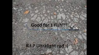 This rod was only good for one fish
