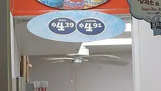 Harbor Breeze Builder's Best Ceiling Fans at Rita's