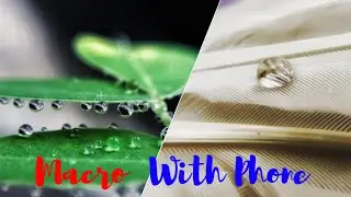 Five Easy Macro photography Ideas At Home You Must Try | Mobile Photography Ideas | Sam Augustine