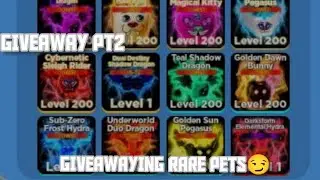 GIVING RARE/OLD PET IN Ninja Legend😱