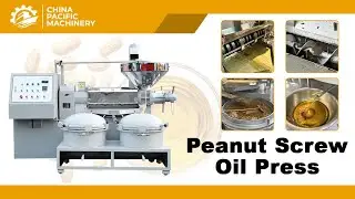 Screw Groundnut Oil Extraction Machine|Screw Peanut Groundnut Oil Extraction Machine for Factory Use