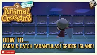 HOW TO FARM & CATCH TARANTULAS IN ANIMAL CROSSING NEW HORIZONS - How to create a spider island!