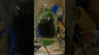 #самогончик 5