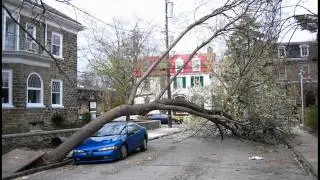 Online Instant Insurance Quotes