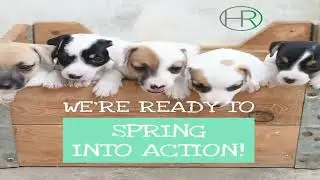 Conifer   Real Estate  Orson Hill Realty