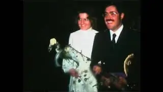 Boda Papá Mamá