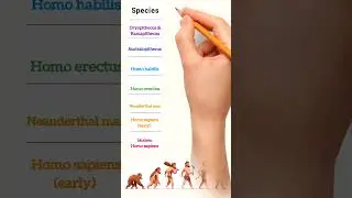 Human#evolution #neet #biology  @biofairyriturattewal @biologyatease @GarimaGoelBiology