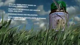 Nekton Trailer Englisch