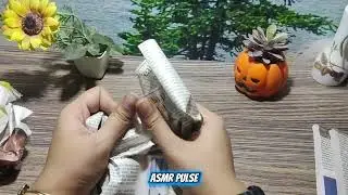 ASMR Vintage Book Page Turning (No&rsquo; 156) | Slow Sounds for Sleep