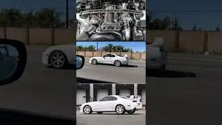 Melvins 800HP SUPRA!!! #jdm #2jz #800hp #supra #singleturbo #supramk4 #fastandfurious #2step #toyota