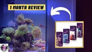 1 Month Review of AF Amino Mix, AF Build, AF Energy & AF Vitality