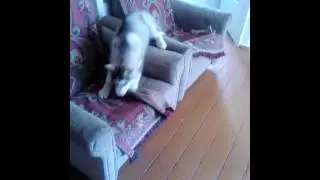 VID 20140725 120210