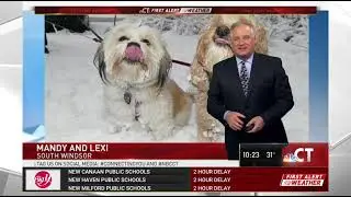 Mandy & Lexi 2018 04 02 NBC30 2nd