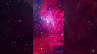 Deep Cosmos 2025 VI