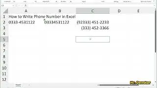 Stop Losing Leading Zeros! How to Write Phone Numbers in Excel
