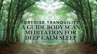 Tortoise Tranquility A guide Body scan meditation for deep calm sleep guided sleep meditation