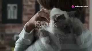 Jessica Meets Liam's New Cat BlockCat!