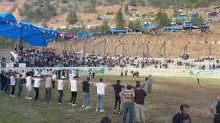 Artvin Yusufeli sol ayak halay y&ouml;resel oyunlar