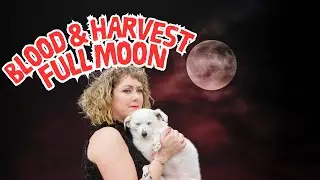 A vegan witch's guide to the September 2025 Blood Moon