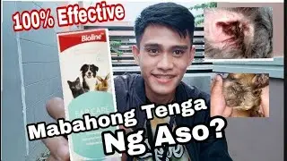 EAR CARE REVIEW | MABISANG GAMOT PARA SA MABAHONG TENGA NG ASO