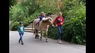 NDR: Ausbau der Reitwege in M-V