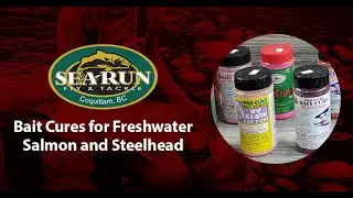 Bait Cures for Freshwater Salmon and Steelhead Fishing