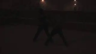 Skyrim: Dragonborn