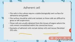 Animal cell culture: basic introduction (primary and secondary cell culture)