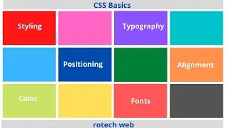CSS  - css basics